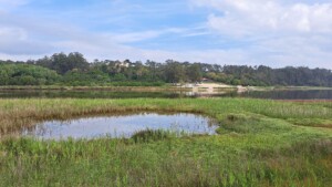 caminhada-lagoa-obidos-caminhando
