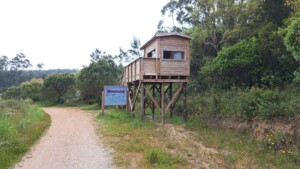 caminhada-lagoa-obidos-caminhando