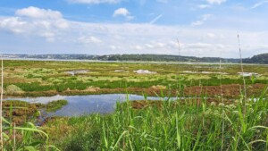 caminhada-lagoa-obidos-caminhando