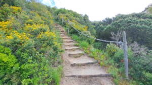 caminhada-lagoa-obidos-caminhando
