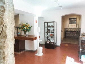 visita-casa_amalia-caminhando