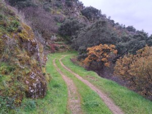 caminhado-vale-do-tua-caminhando