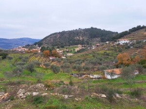 caminhado-vale-do-tua-caminhando