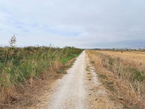 caminhada-parque-linear-ribeirinho-alverca-caminhando