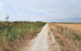 caminhada-parque-linear-ribeirinho-alverca-caminhando