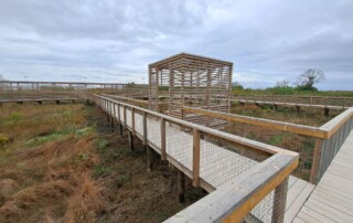 caminhada-parque-linear-ribeirinho-alverca-caminhando