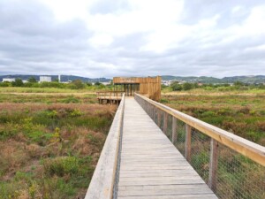 caminhada-parque-linear-ribeirinho-alverca-caminhando