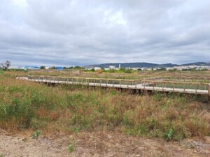 caminhada-parque-linear-ribeirinho-alverca-caminhando