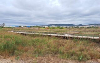 caminhada-parque-linear-ribeirinho-alverca-caminhando