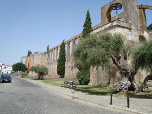 caminhada-serpa-caminhando-20