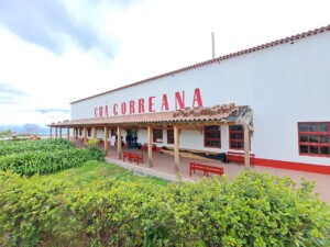 caminhada-cha-gorreana-sao-miguel-caminhando