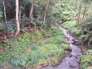caminhada-salto-cabrito-sao-miguel-caminhando