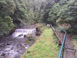 caminhada-salto-cabrito-sao-miguel-caminhando