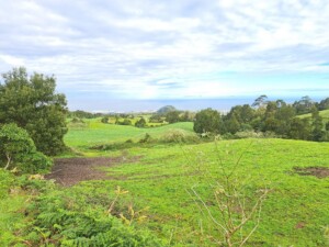 caminhada-salto-cabrito-sao-miguel-caminhando