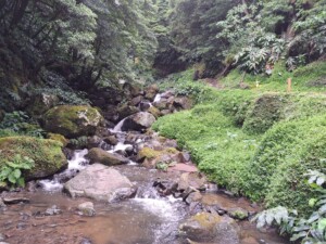 caminhada-sanguinho-salto-prego-faial-terra-sao-miguel-caminhando