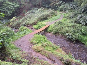 caminhada-sanguinho-salto-prego-faial-terra-sao-miguel-caminhando
