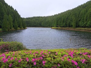 caminhada-serra-devassa-sao-miguel-caminhando
