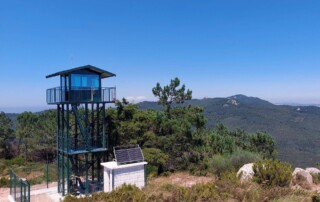 caminhada alto da pedra amarela serra sintra caminhando