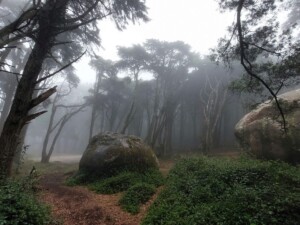 caminhada serra de sintra caminhando