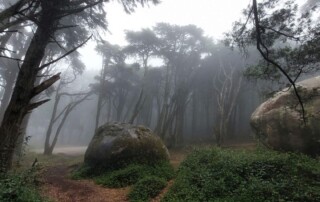 caminhada serra de sintra caminhando