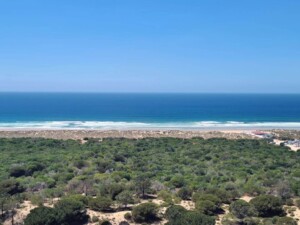 caminhada-mata-dos-medos-costa-caparica-caminhando