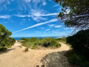caminhada-mata-dos-medos-costa-caparica-caminhando