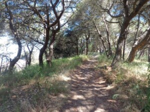 caminhada-mata-dos-medos-costa-caparica-caminhando
