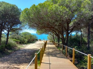 caminhada-mata-dos-medos-costa-caparica-caminhando