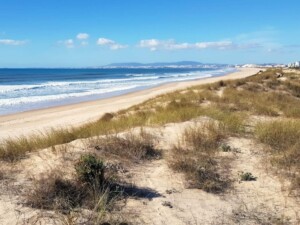 caminhada-mata-dos-medos-costa-caparica-caminhando