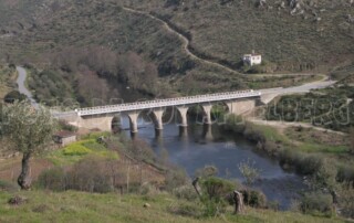 caminhada-pinhel-ponte-ribeira-cabras-caminhando-01