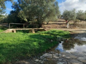 caminhada-santiago-escoural-serra-monfurado-caminhando