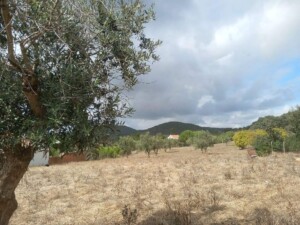 caminhada-santiago-escoural-serra-monfurado-caminhando