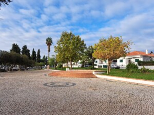 caminhada-ajustrel-caminhando