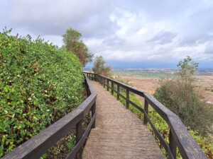 caminhada-ajustrel-caminhando