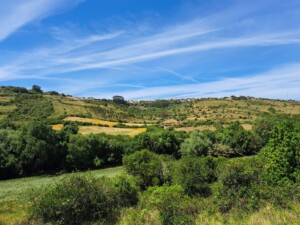 caminhada-montgelavar-ribeira-cabrela-bajouca-armes-caminhando