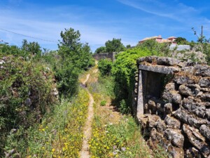 caminhada-montgelavar-ribeira-cabrela-bajouca-armes-caminhando