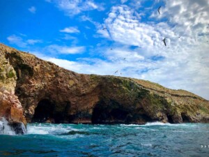 caminhando-ballestas_islands-peru
