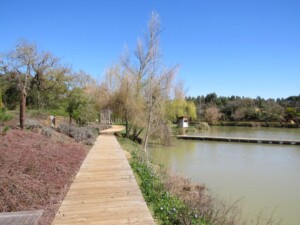 visita-caminhada-entroncamento-parque-bonito