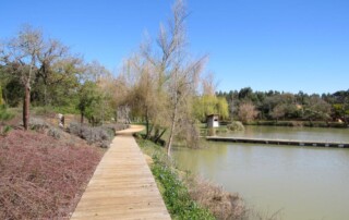 visita-caminhada-entroncamento-parque-bonito