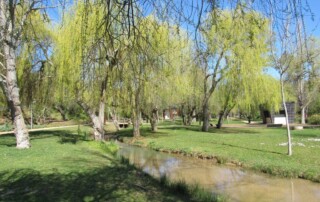 visita-caminhada-entroncamento-parque-bonito