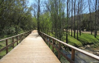 visita-caminhada-entroncamento-parque-bonito