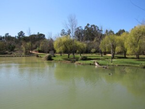 visita-caminhada-entroncamento-parque-bonito