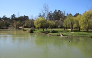 visita-caminhada-entroncamento-parque-bonito