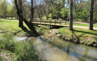 visita-caminhada-entroncamento-parque-bonito