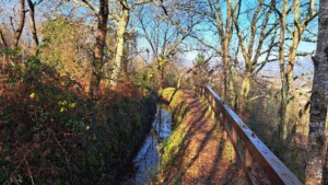 caminhada-jugueiros-felgueiras-caminhando