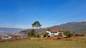 caminhada-jugueiros-felgueiras-caminhando