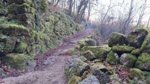 caminhada-jugueiros-felgueiras-caminhando