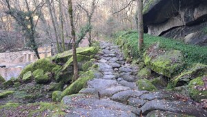 caminhada-jugueiros-felgueiras-caminhando
