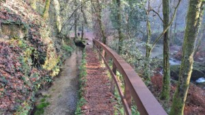 caminhada-jugueiros-felgueiras-caminhando