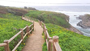 caminhada-porto-covo-caminhando
